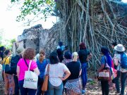 Bunce Island and Tasso Island Excursion